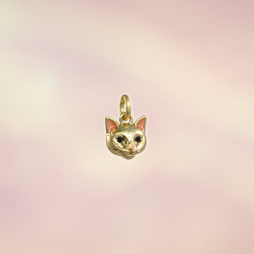 Kitten Charm