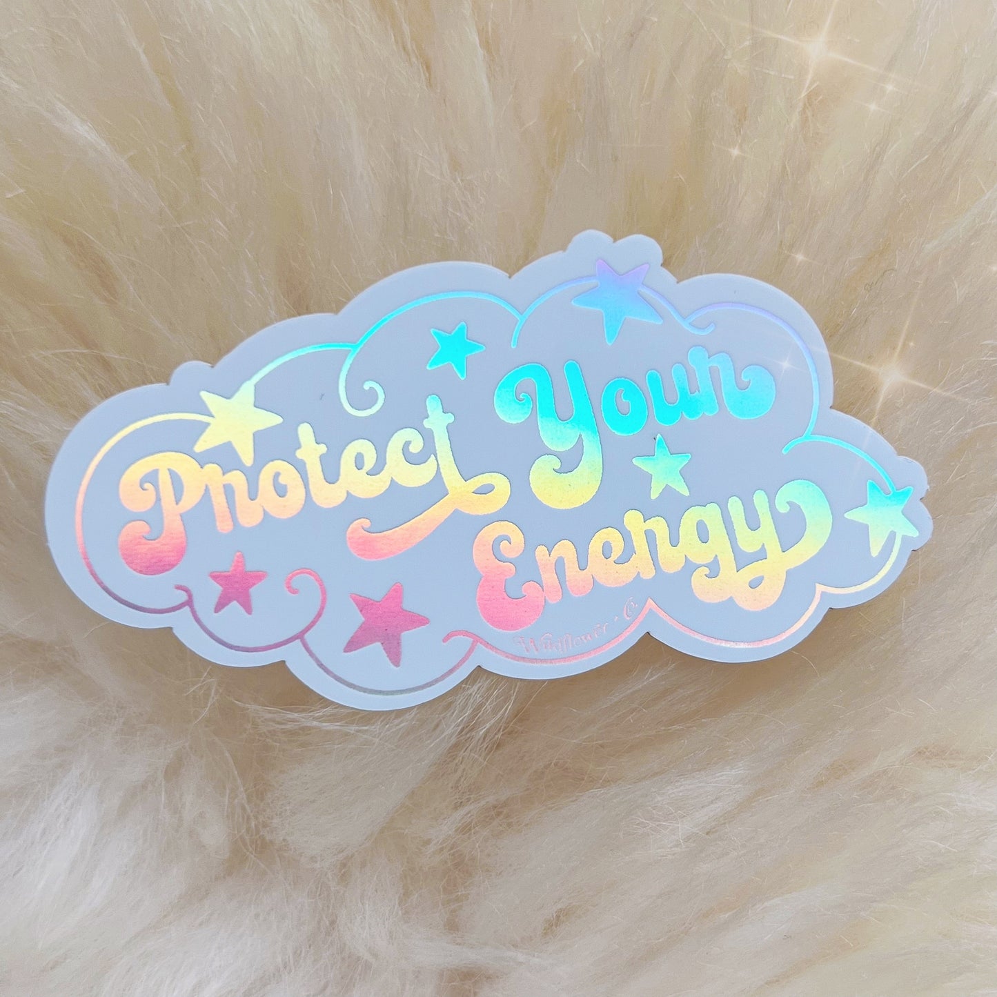 PC00170-MLT-OS - Protect Your Energy Sticker (1)