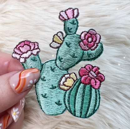 Prickly Pear Cactus Patch