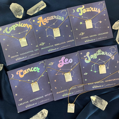 Zodiac Shell Necklace