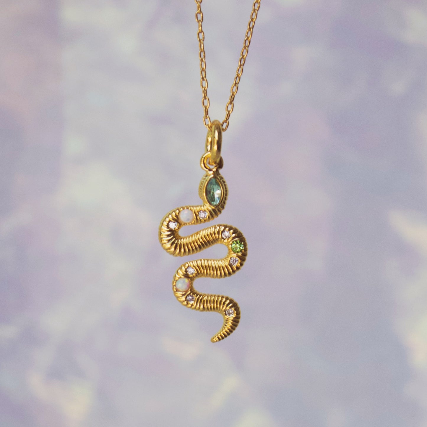 Snake Charm Necklace