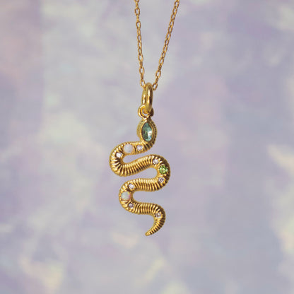 Snake Charm Necklace