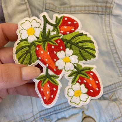 Strawberry Plant Patch
