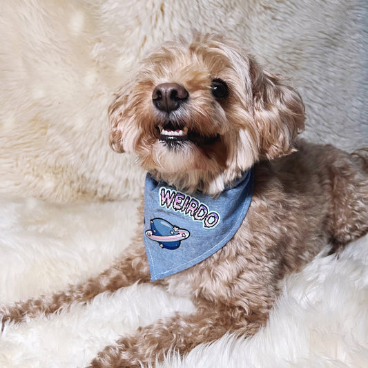 Dog Bandana with Patch